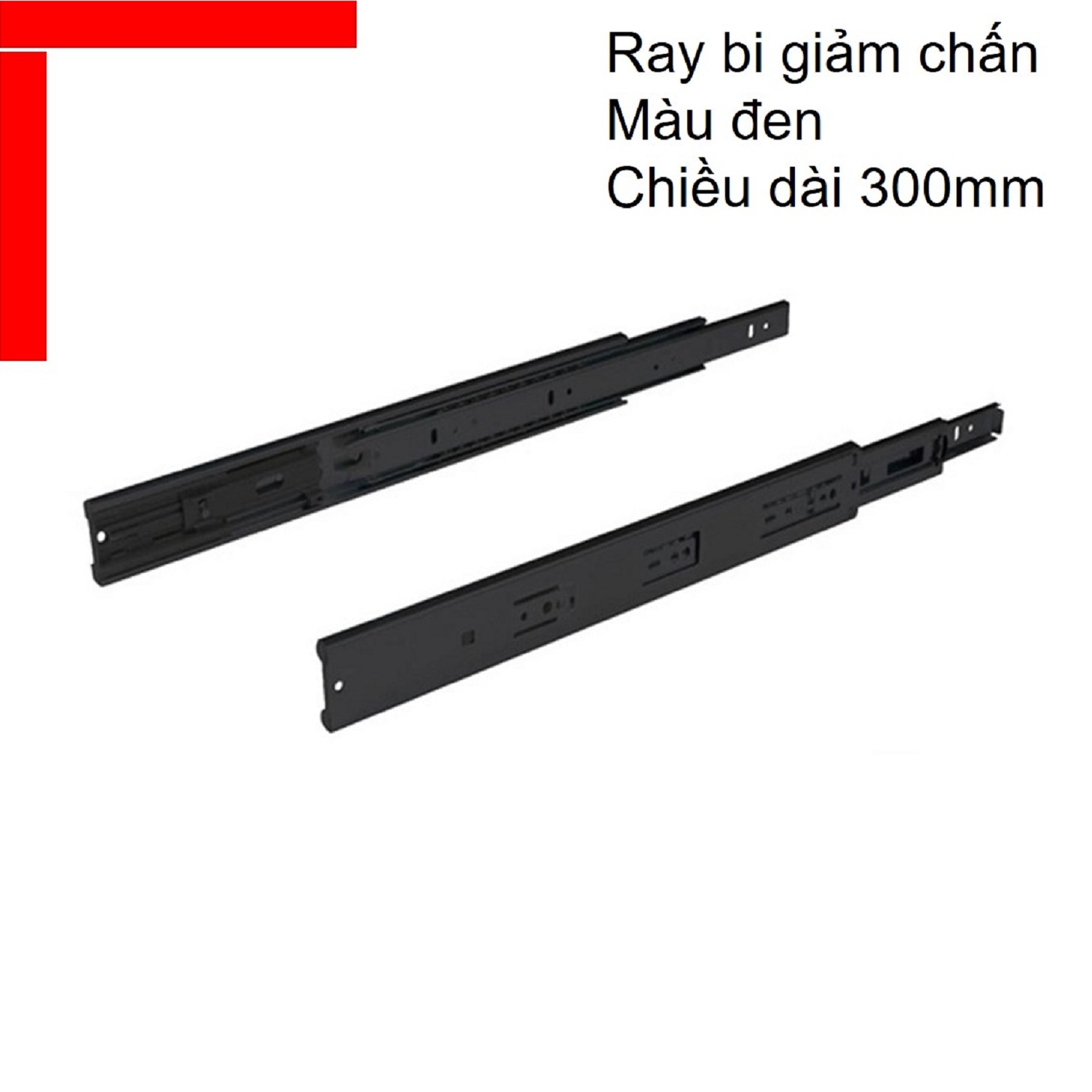 Ray bi giảm chấn Hafele chiều dài 300mm màu đen 494.02.071